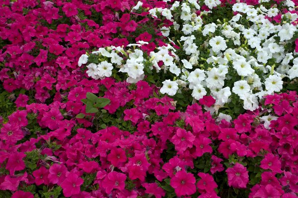 Quels sont les critères à considérer pour sélectionner un nouveau quartier où s'installer ?